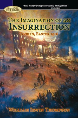 The Imagination of an Insurrection: Dublin, Easter 1916 (Barnes & Noble Rediscovers Series)