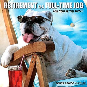 Retirement Is a Full-Time Job: And You're the Boss!