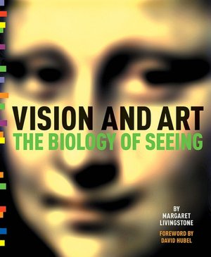 vision and art the biology of seeing pdf 55