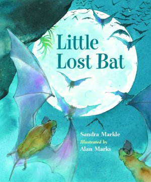 Little Lost Bat