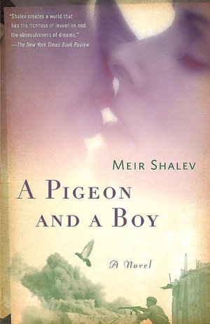 A Pigeon and a Boy