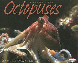 Octopuses