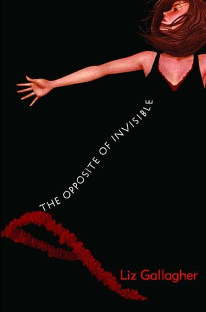 The Opposite of Invisible