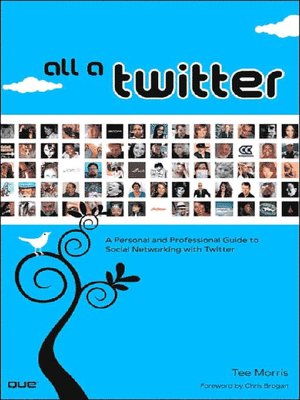 All a Twitter: A Personal and Professional Guide to Social Networking with Twitter, e-Reader