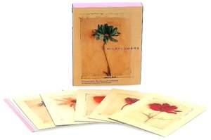 Wildflowers: Deluxe Notecards