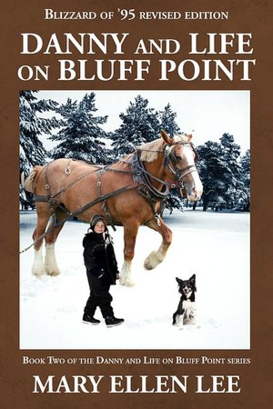 Danny and Life on Bluff Point: Blizzard of '95 revised edition (Book 2)