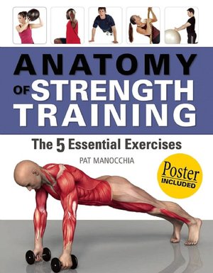 Anatomy of Strength Training: The 5 Essential Exercises