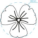 Clever Lever Giga Embossing Punch-Pansy 2.375" by Uchida: Product Image