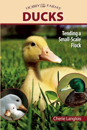 Ducks: Tending a Small Scale Flock for Pleasure and Profit
