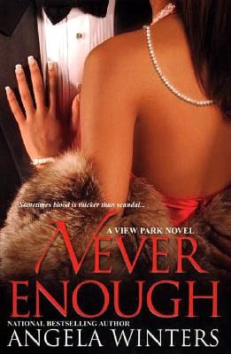 Never Enough (View Park Series #2)