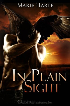 In Plain Sight