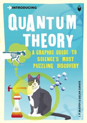 Introducing Quantum Theory: Graphic Guide