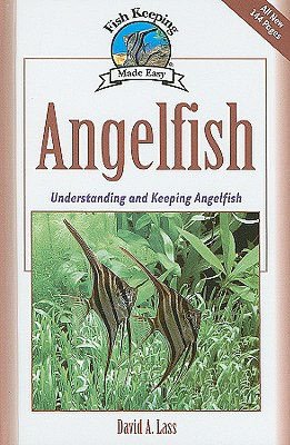 Angelfish: Basic Aquarium Setup and Maintenance
