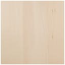Basswood Canvas-12"X12" by Walnut Hollow: Product Image