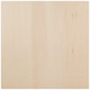 Basswood Canvas-10"X10" by Walnut Hollow: Product Image