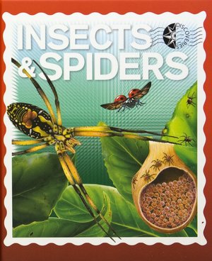 Insects and Spiders (Discoveries)