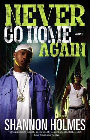 Never Go Home Again: A Novel