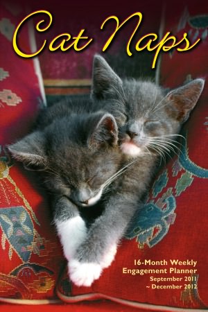 2012 Cat Naps Engagement Calendar