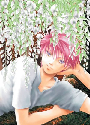 The Young Magician: Volume 8