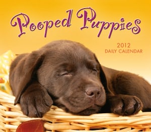 2012 Pooped Puppies Box Calendar