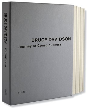 Bruce Davidson: Outside Inside
