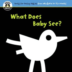 What Does Baby See? (Begin Smart Series)