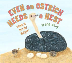 Even an Ostrich Needs a Nest: Where Birds Begin