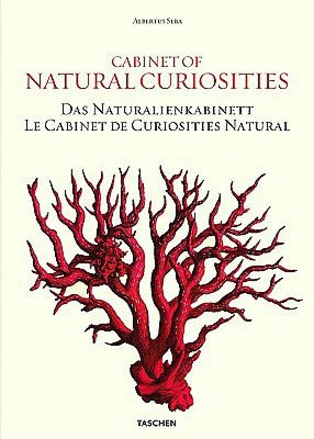 Albertus Seba: Cabinet of Natural Curiosities