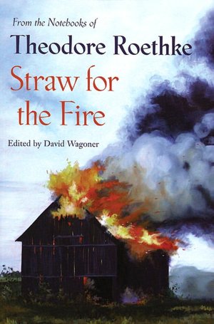 Straw for the Fire: From the Notebooks of Theodore Roethke