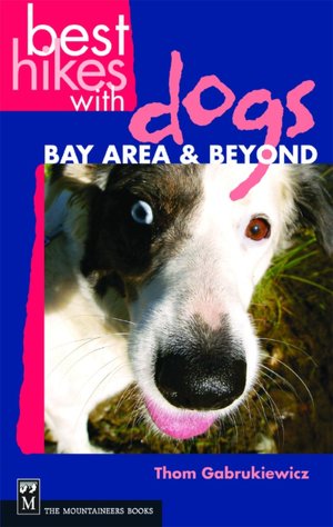 Best Hikes With Dogs: Bay Area and Beyond