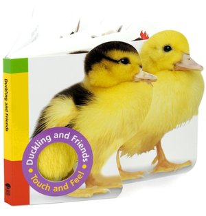 Duckling and Friends
