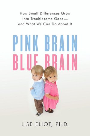 Pink Brain, Blue Brain: How Small Differences Grow into Troublesome Gaps--and What We Can Do about It