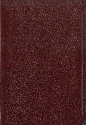 NVI Biblia de Bolsillo: Nueva Version Internacional, piel imitacion vino (Pocket Bible)