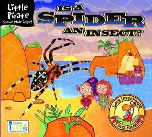 Little Pirate: Is a Spider an Insect?