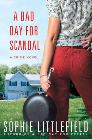 A Bad Day for Scandal (Stella Hardesty Series #3)