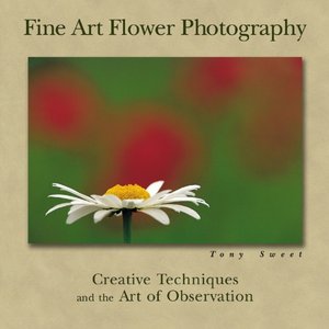 Fine Art Flower Photography: Creative Techniques and the Art of Observation