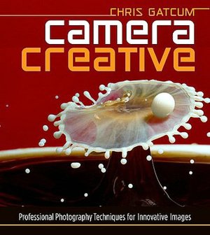 Camera Creative: Professional Photography Techniques for Innovative Images