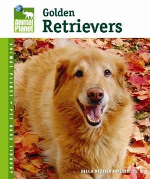 Golden Retrievers