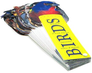 Birds (Fandex Family Field Guides)