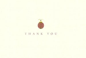 Ladybug Thank You Notes Set Of 14