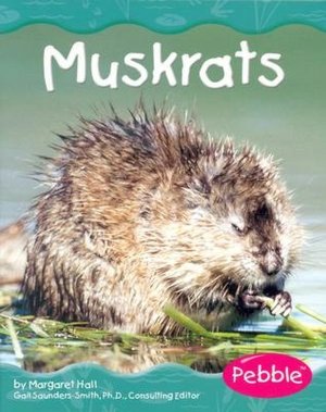 Muskrats (Wetland Animals Series)