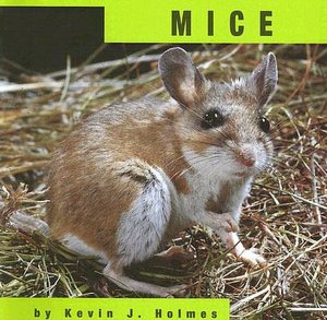 Mice