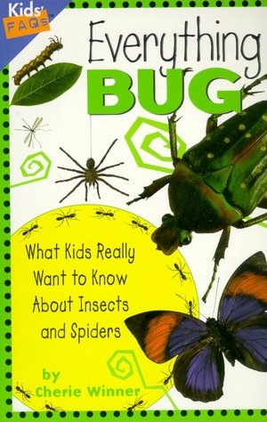 Preschool Craft Ideas Nursery Rhymes on Insects And Spiders Theme For Preschoolers