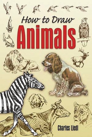 How to Draw Animals