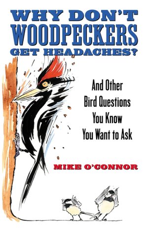 Why Don't Woodpeckers Get Headaches: And Other Answers to Bird Questions You Know You Want to Ask