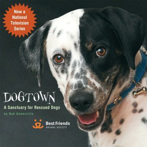 Dogtown: Where Canines Come First