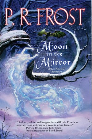 Moon in the Mirror (Tess Noncoire Series #2)