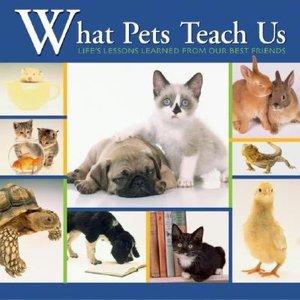 What Pets Teach Us: Life's Lessons Learned From Our Best Friends