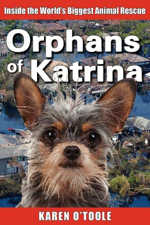 Orphans of Katrina: What Really Happened on the Gulf and How You Can Help Save America's Pets Today
