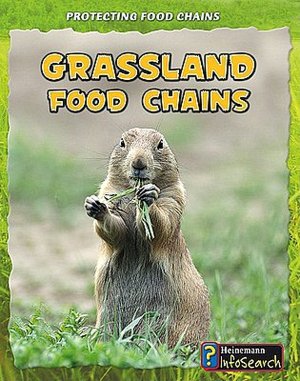 Grassland Food Chains